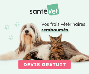 Assurance SantéVet chien & chat