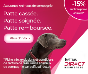 Assurance Belfius Direct