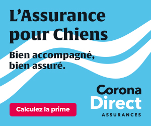 Assurance Corona Direct chien