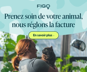 Assurance Figo Chat