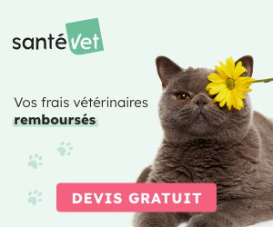 Assurance SantéVet chat