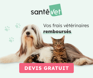 Assurance SantéVet Chien & Chat