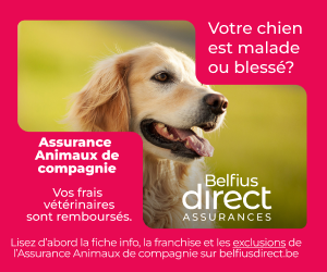 Assurance Belfius Direct